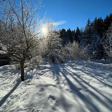 L'ermitage De Meyriat