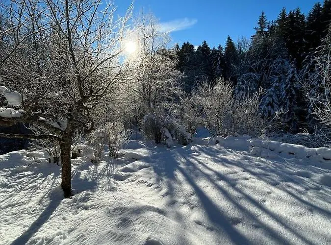 L'ermitage De Meyriat