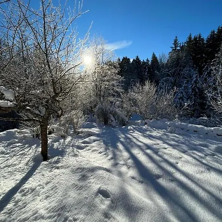 L'ermitage De Meyriat